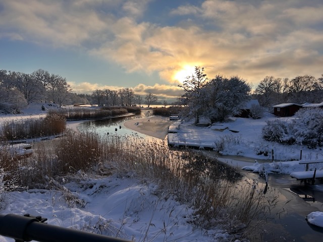 Vierydsviken i höstdimma sedd från huset